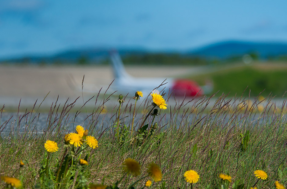 El avión de Norwegian como modelo