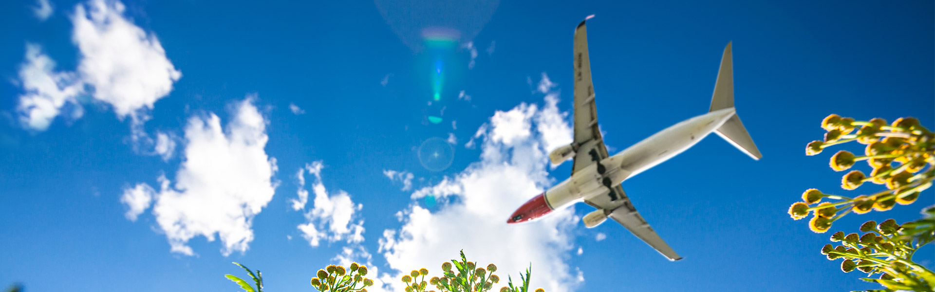 Avión de Norwegian volando sobre flores verdes